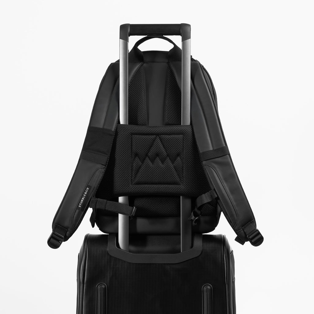 Everyday Backpack 15L