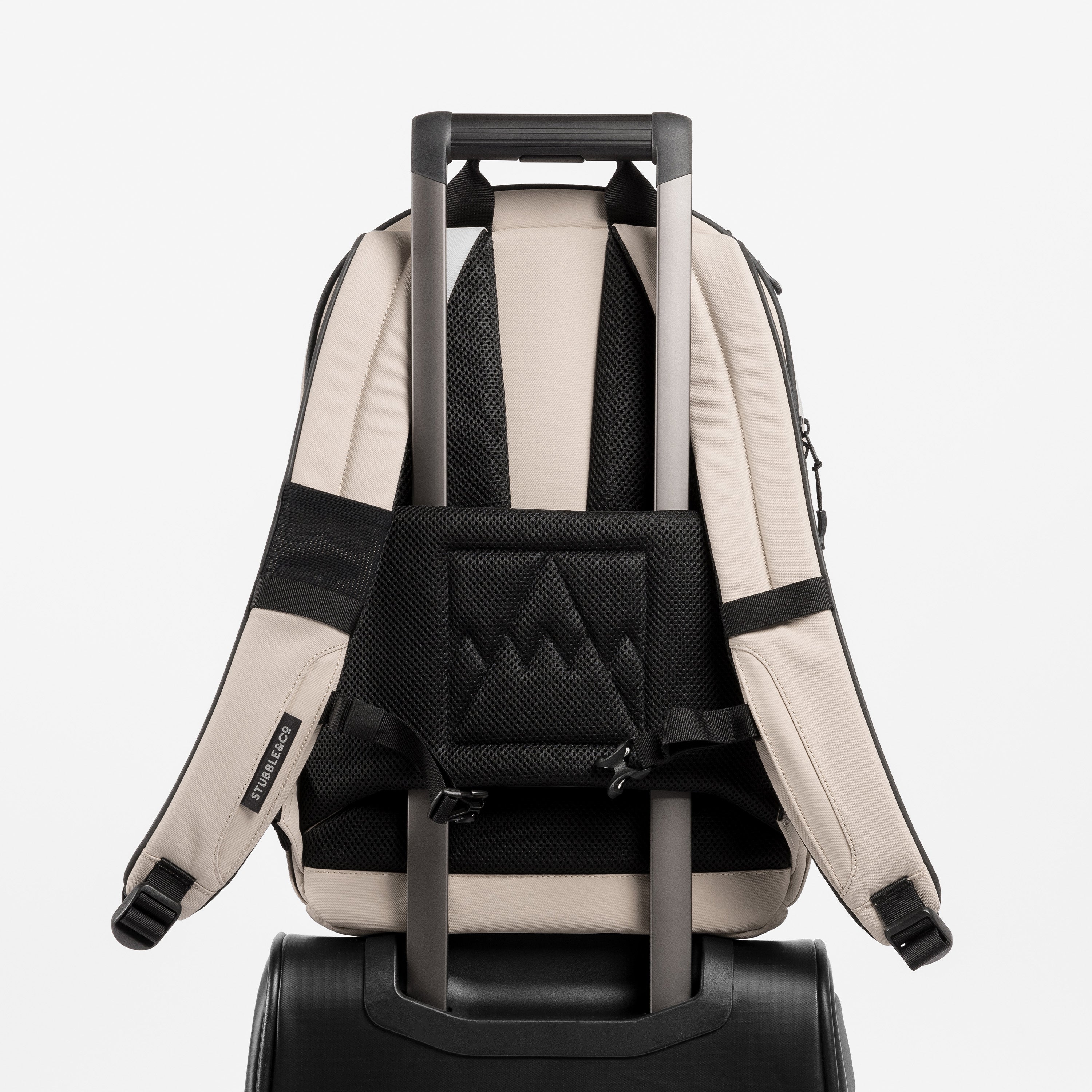 Everyday Backpack 20L